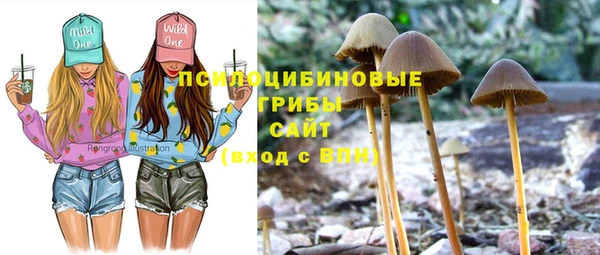 кристаллы Корсаков