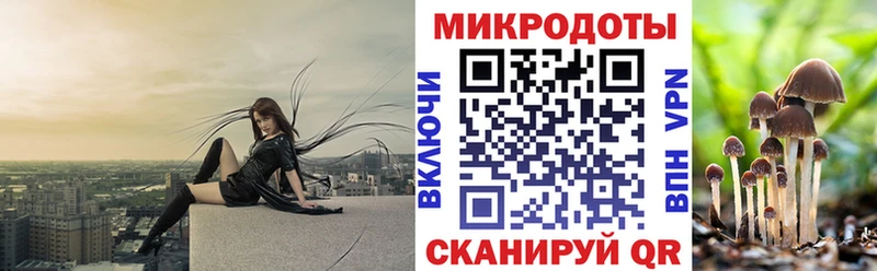 цены наркотик  Обнинск  Галлюциногенные грибы мицелий 