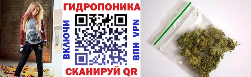 Бошки Шишки Bruce Banner  Обнинск 